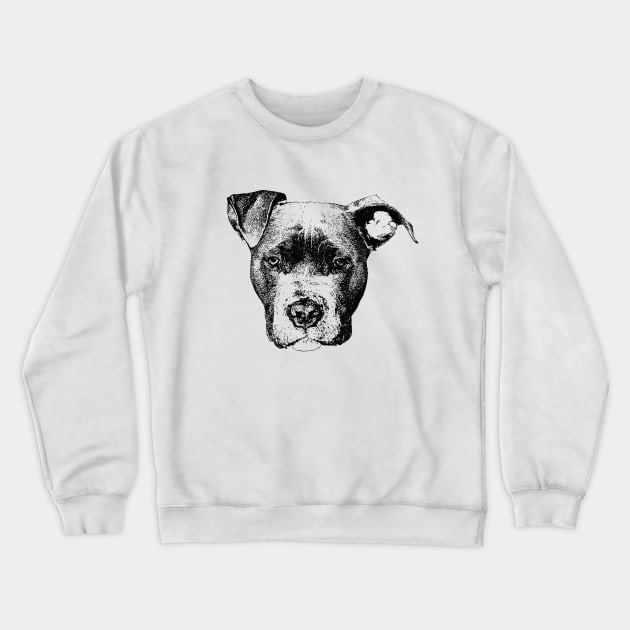 American Pit Bull Terrier Face Design - A pit bull Christmas Gift Crewneck Sweatshirt by DoggyStyles